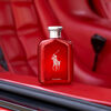 Set de Perfume Ralph Lauren Polo Red EDP 125 ml + Polo Red EDP 40 ml