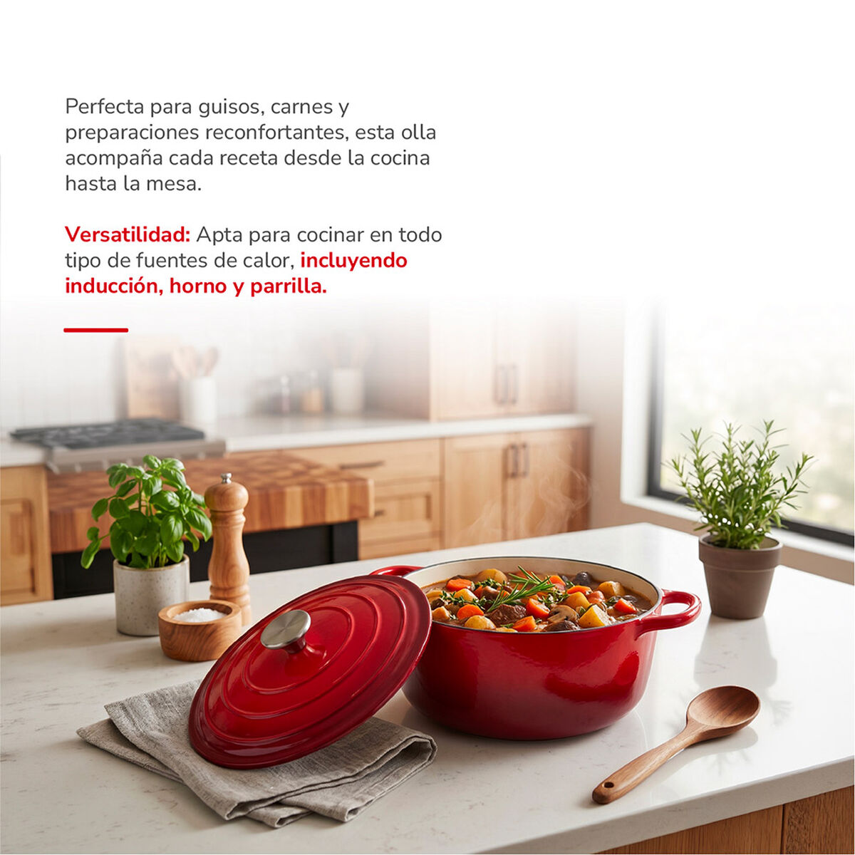 Olla Hierro Fundido Thomas 24cm Rojo