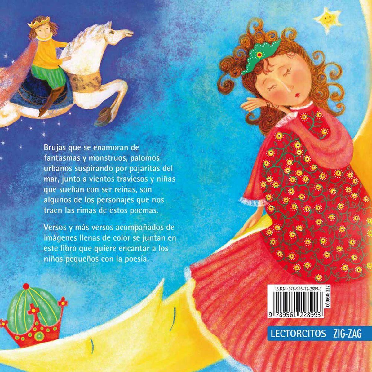 Libro Versos y Reversos Myriam Yagnam Zig-Zag