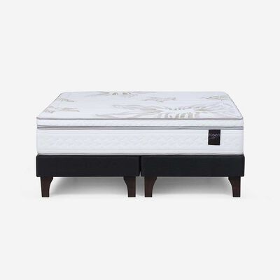 Imagen 2 del producto Cama Europea Rosen Base Dividida 2 Plazas Art 4