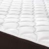 Cama Europea Rosen Base Dividida 2 Plazas Ergo T + 2 Almohadas Light Americana
