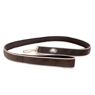 Correa Mascan Acolchada Reflectante para Perro