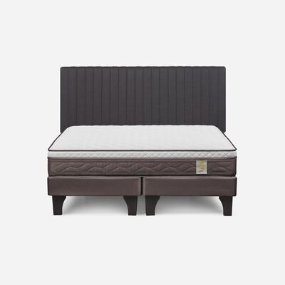 Imagen 1 del producto Cama Europea Rosen 2 Plazas New Style 4 + Respaldo Grafito