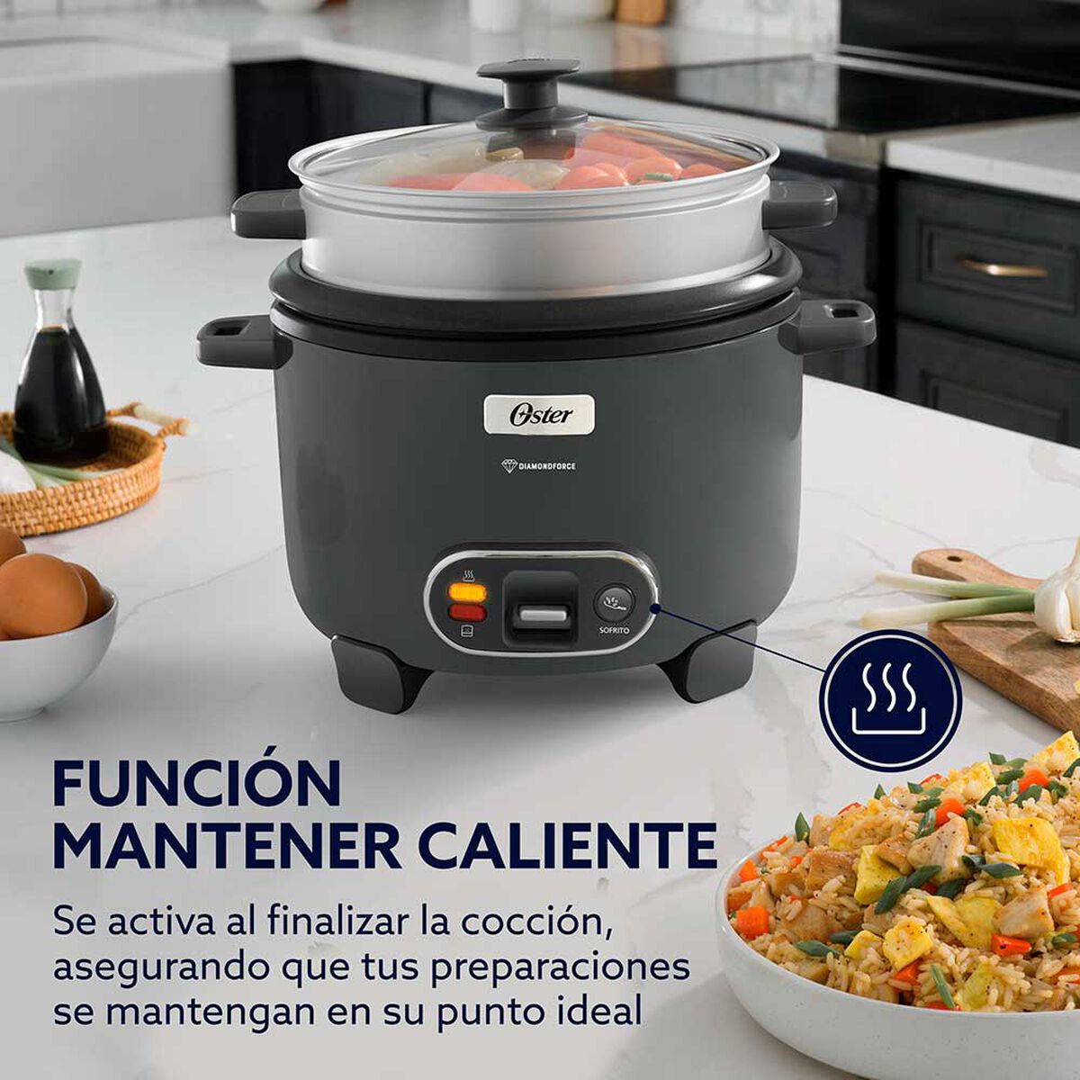 Arrocera Oster CKSTRC12DFSKE-052 2,2 lts.