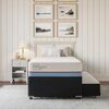 Cama Nido CIC 1,5 Plazas Excellence Plus + Respaldo Munich Olivo