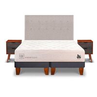 Cama Europea CIC Base Dividida 2 Plazas Cocopedic