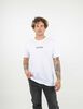 Polera Con Estampado Manga Corta Hombre Zibel