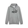 Polerón Urbano Hombre Puma