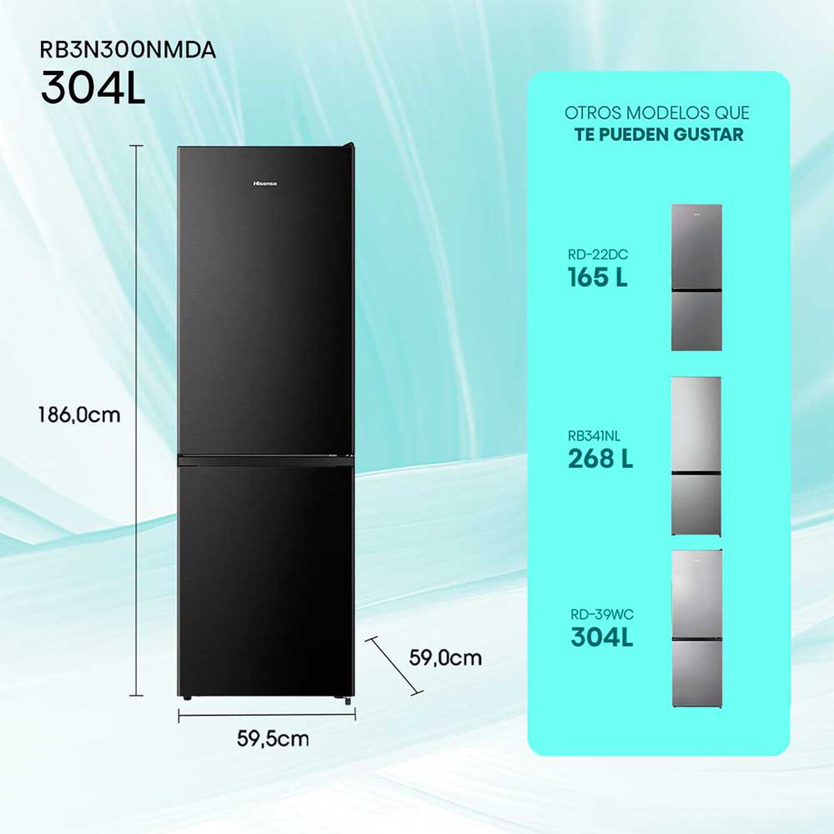 Refrigerador Hisense RB3N300NMDA Bottom Freezer 304 L Black