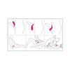 Anillo Vibrador Heman Sexhande
