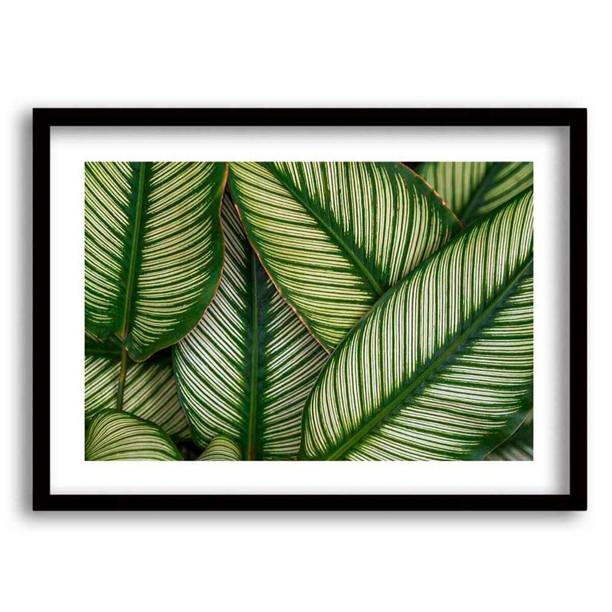 Cuadro Decorativo Retela Hojas Verde 50 x 35 cm