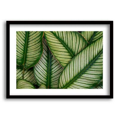 Imagen 1 del producto Cuadro Decorativo Retela Hojas Verde 50 x 35 cm