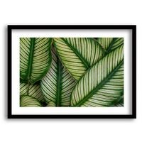 Cuadro Decorativo Retela Hojas Verde 50 x 35 cm