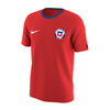 Polera Oficial Nike Selección Chilena