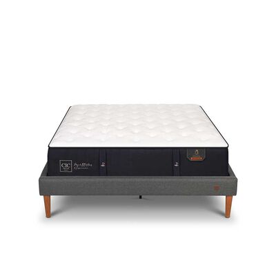 Imagen 1 del producto Cama Europea CIC 2 Plazas Premium