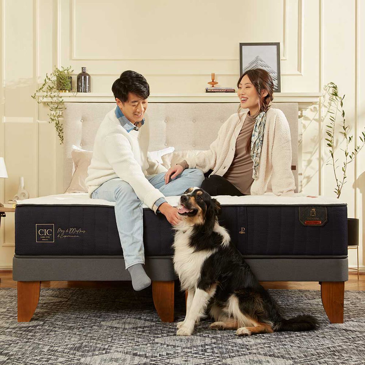 Cama Europea CIC 1,5 Plazas Premium + Respaldo + Velador Dublin