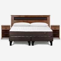 Cama Europea Rosen Base Dividida King Ergo T+ Respaldo +2 Veladores Ferrera + 2 Almohadas Light