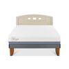 Cama Europea CIC 2 Plazas Excellence Plus + Respaldo Gales Alpino