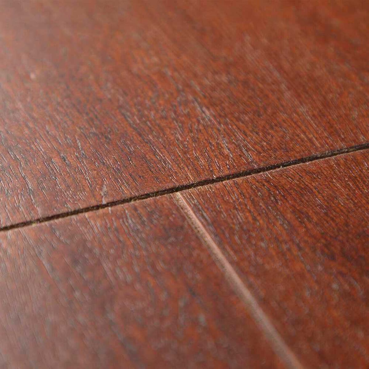 Juego de Comedor CIC &Ntilde;uble Caramelo 8 Sillas