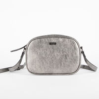 Bolso Silver Icono
