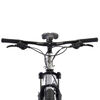 Bicicleta Mountain Bike Bianchi Peregrine Aro 29