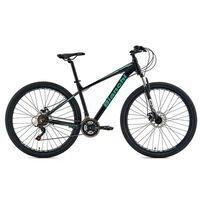 Bicicleta Mountain Bike Bianchi Stone Mountain Aro 29