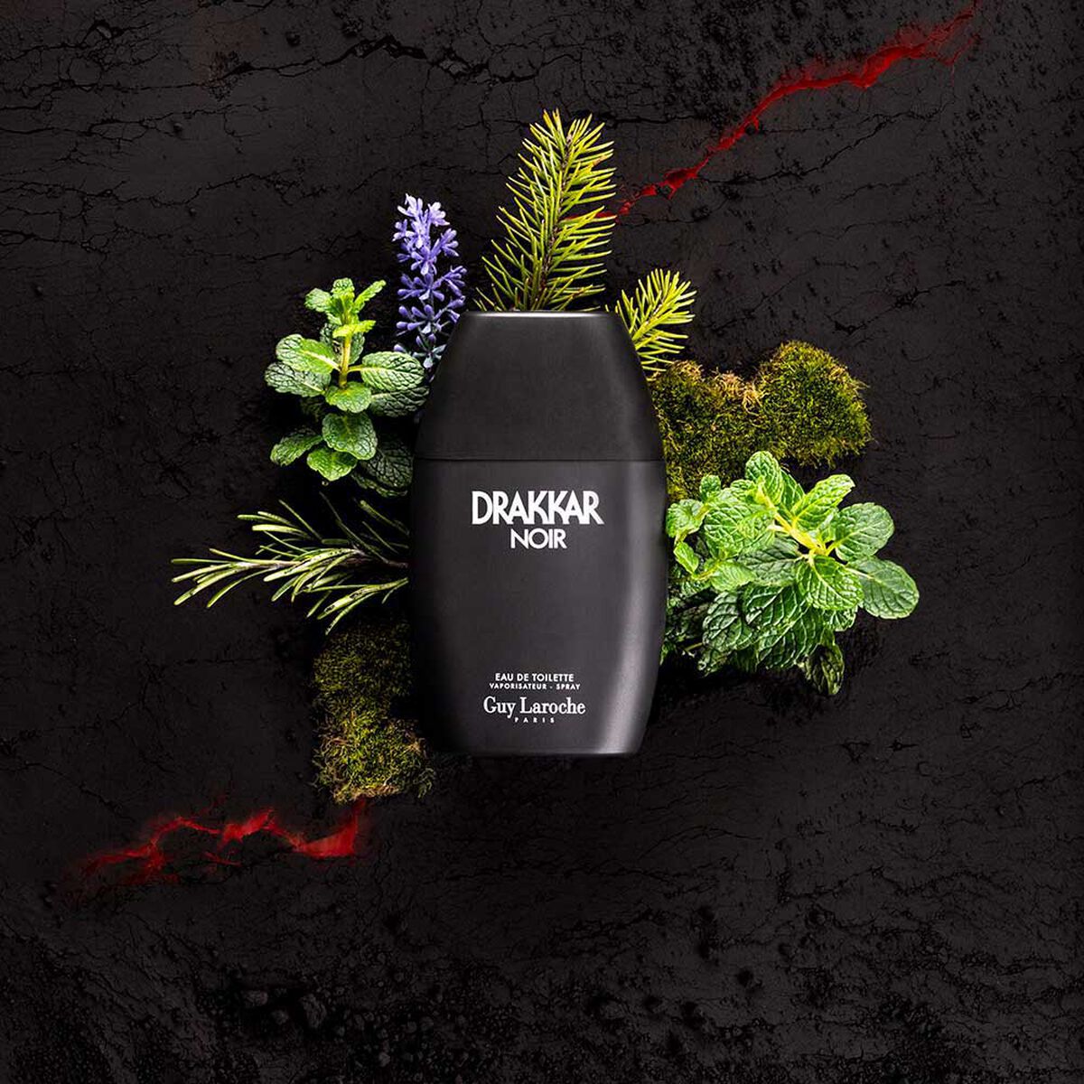 Perfume Hombre Guy Laroche Drakkar Noir 200 ML