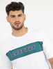 Polera Deportiva Hombre Lotto