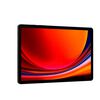 Tablet Samsung Galaxy Tab S9 Octa-Core 12GB 256GB 11" Graphite