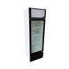 Visicooler Maigas LG300 292 lts.