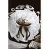 Libro La Metamorfosis y otros Relatos Pocket Ilustrados Franz Kafka Editorial Alma