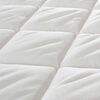 Cama Europea 1.5 Plazas Excellence Plus + Mueble + Respaldo