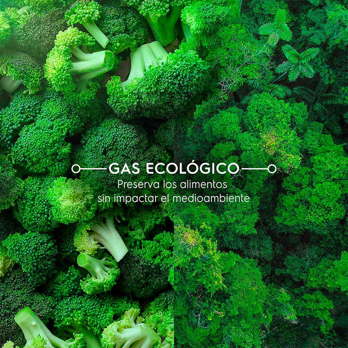 Refrigerador No Frost Mademsa MI60B 285 lts.