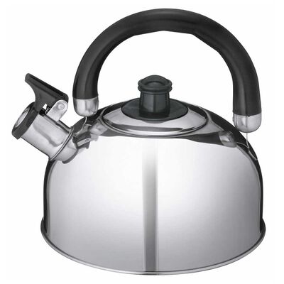 Tetera de Acero Inoxidable Fantuzzi Trinni Plateado 2,5 lt