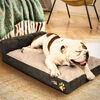 Cama para Mascota CIC Pet Dreams Talla S con Almohada