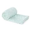 Manta Plush Dreams Liso Menta