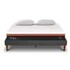 Cama Europea CIC 2 Plazas Bee Comfort + Almohadas Viscoel&aacute;sticas
