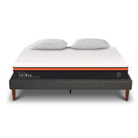 Cama Europea CIC 2 Plazas Bee Comfort + Almohadas Viscoelásticas
