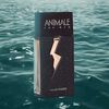 Perfume Animale Men 100 Ml EDP