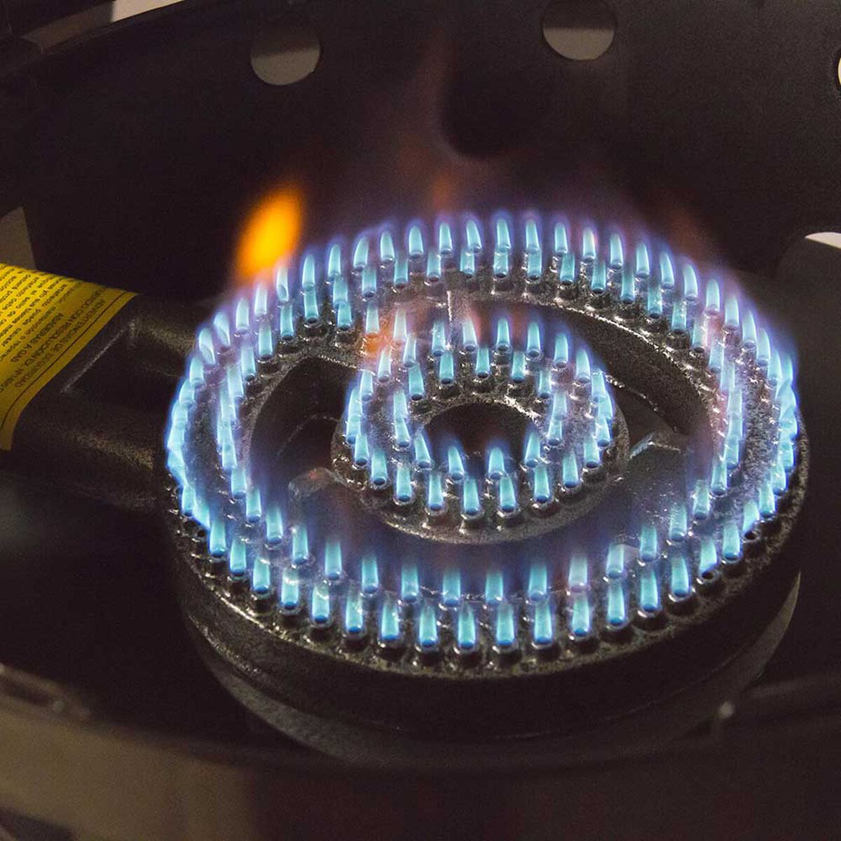 Disco Gourmet a Gas Ursus Trotter UT-Gl