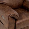 Bergere El&eacute;ctrico Rosen Tolosa 1 Cuerpos Camel