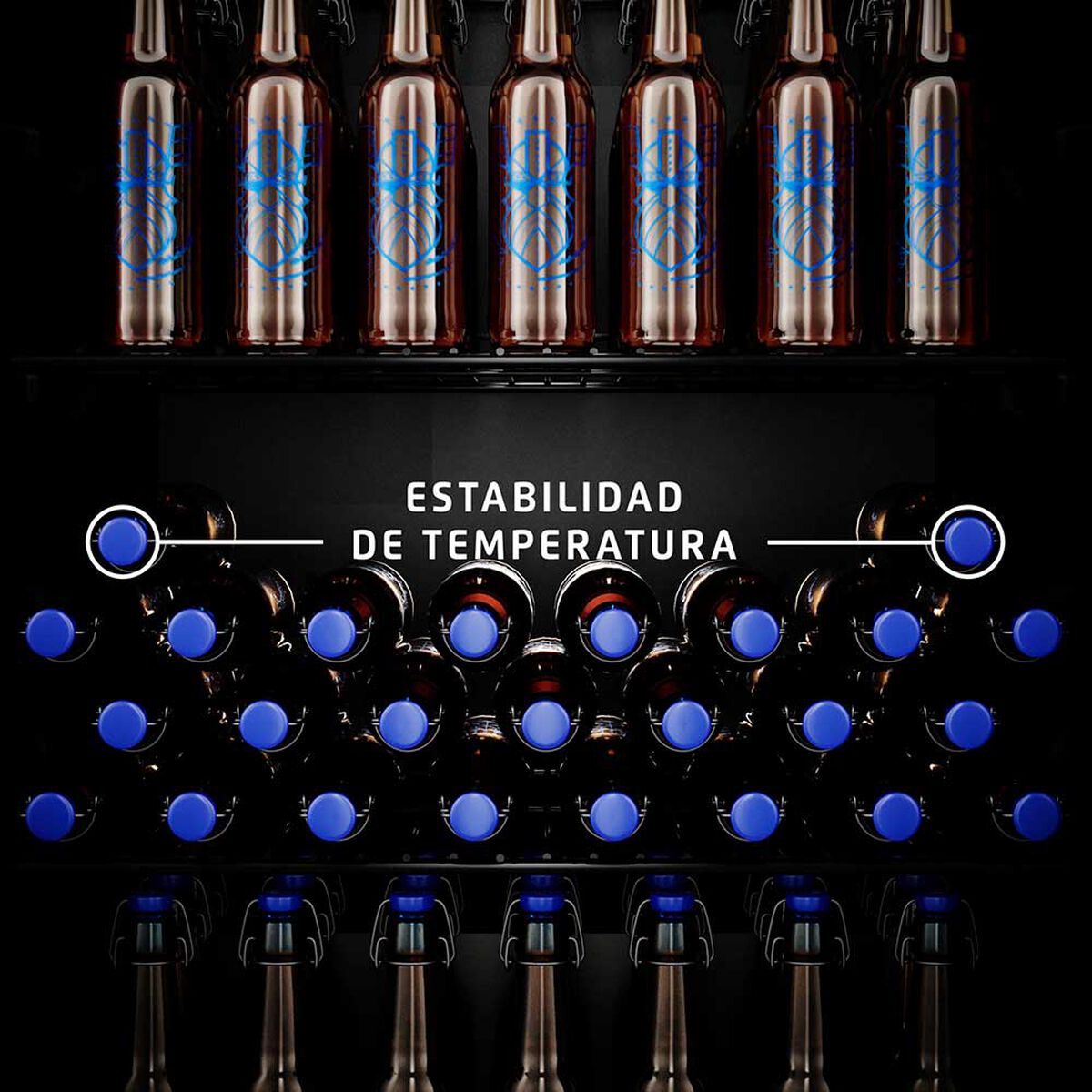 Cava de Cervezas Fensa BCG96