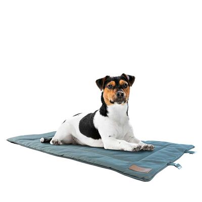 Cama Roller Mascota Toby Petwoow Talla L