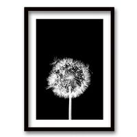 Cuadro Decorativo Retela Flor De Leon N 70 x 50 cm