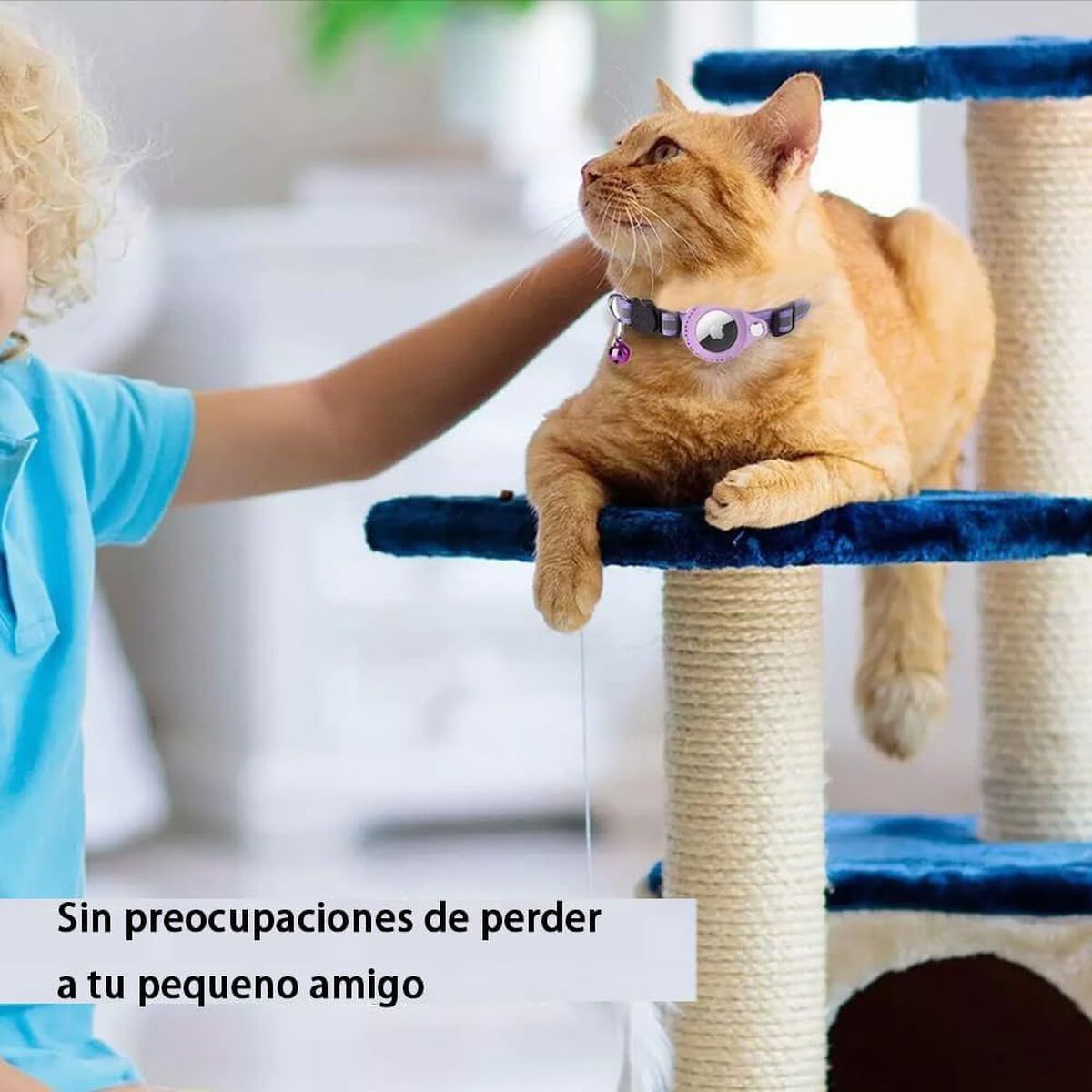 Collar para Gato Laudtec Airtag Azul