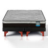 Cama Europea Flex 2 Plazas Dream Pro Box B/D