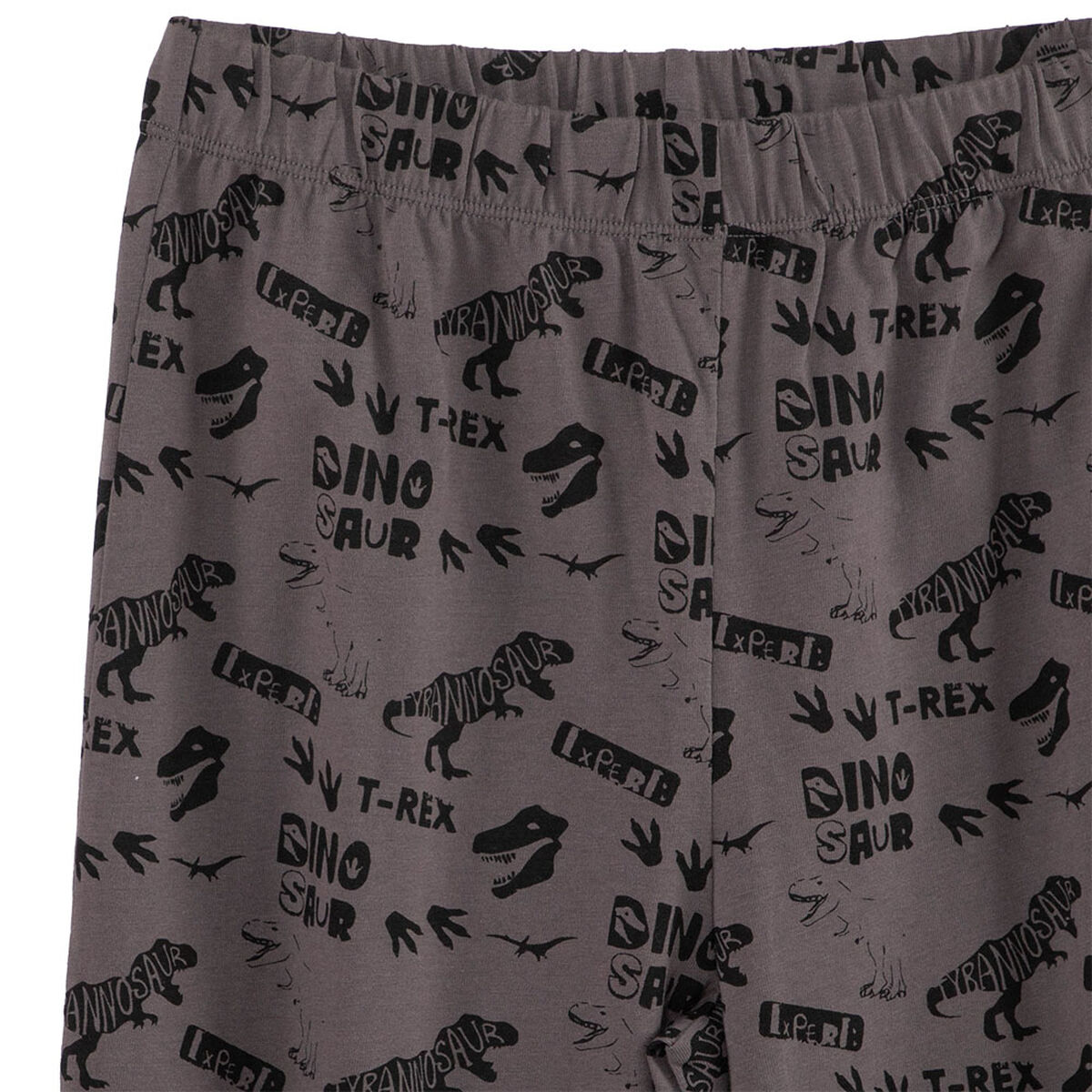 Pijama Dinosaurio de Algodón Niño Cutback