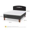 Cama Europea CIC 2 Plazas Ortopedic Advance + Respaldo Gales Negro