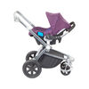 Coche Travel System Epic 4G Midnight Purple