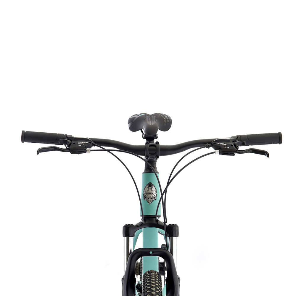 Bianchi Stone Mountain 29 SX Talla M Celeste, foto 3